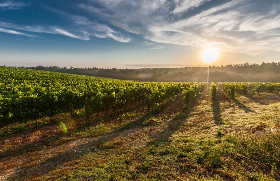 Helps with Weather Smart Advisory