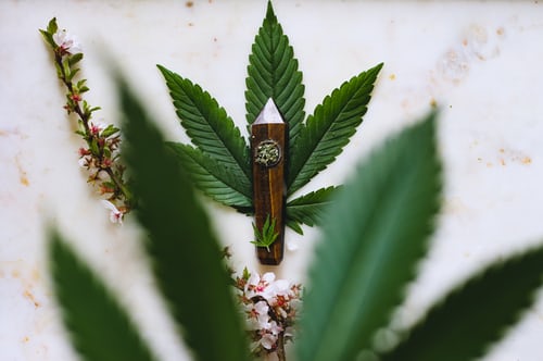 Everything We Enjoy About CBD Oil And Its Benefits