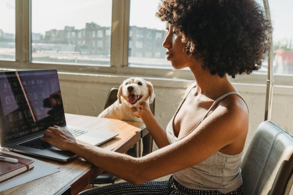 african-american-female-freelancer-with-laptop-and-dog