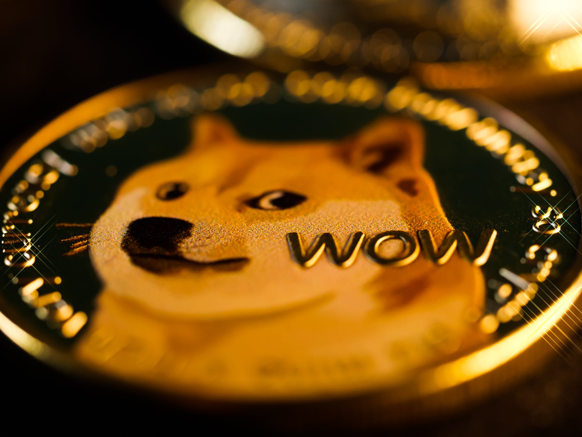 Dogecoin its growth overtime