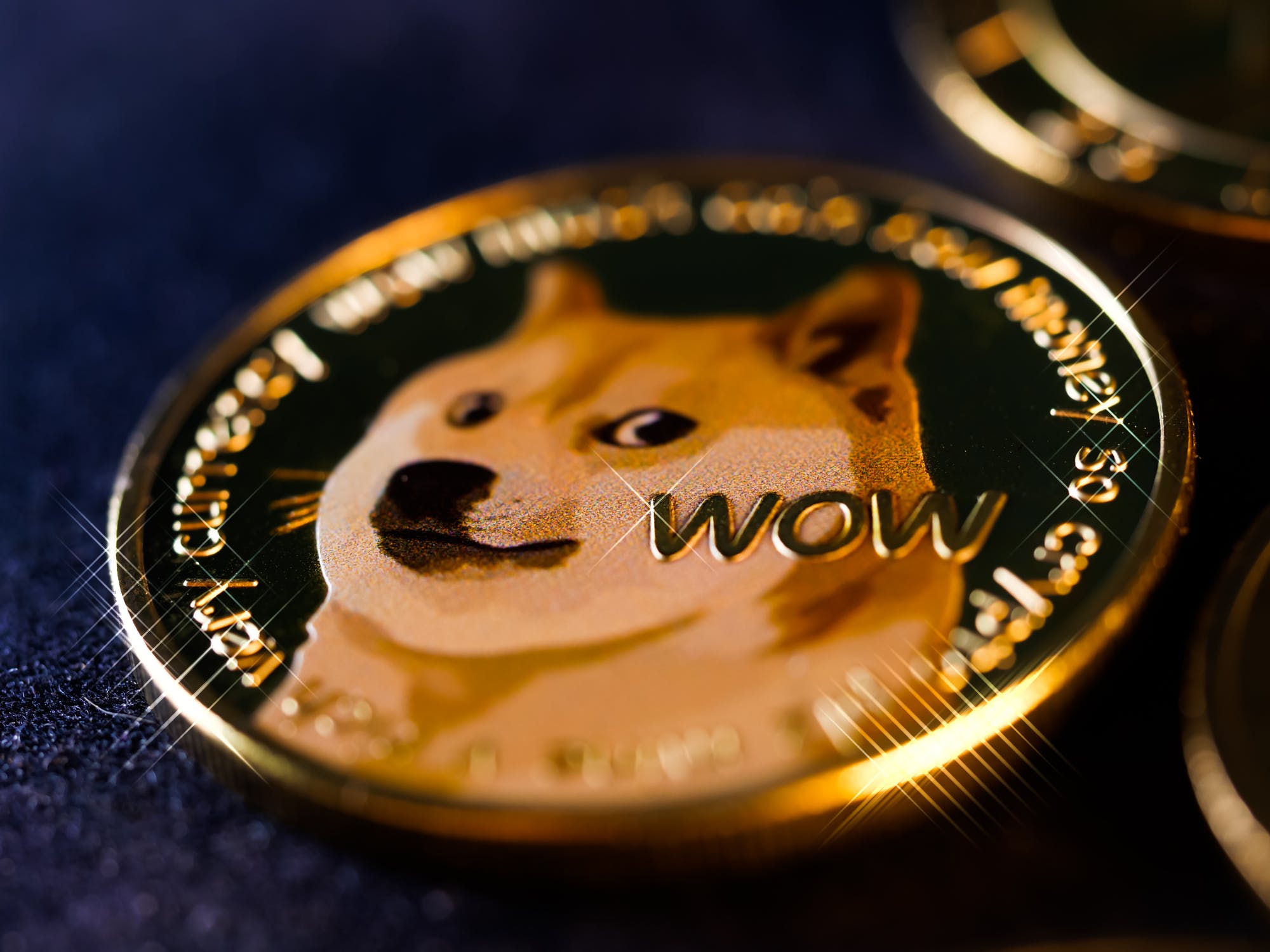Who amongst the two cryptocurrencies shiba inu and dogecoin will win the race