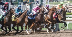 Horse Betting Terms What Are Final Declarations In Horse Racing