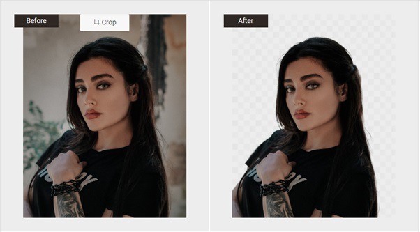 BGremover Review AI Makes It Easier for Background Removal
