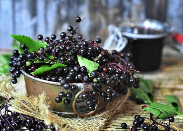 Is It Possible To Apply Elderberry Directly To The Skin?