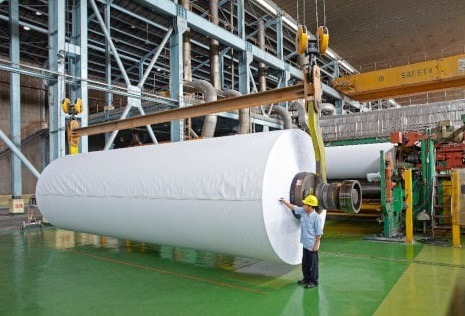 Important Role of a Major Paper Producer