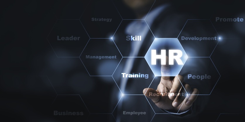 What Are the Differences Between a HR Consultant and an Employment Lawyer?