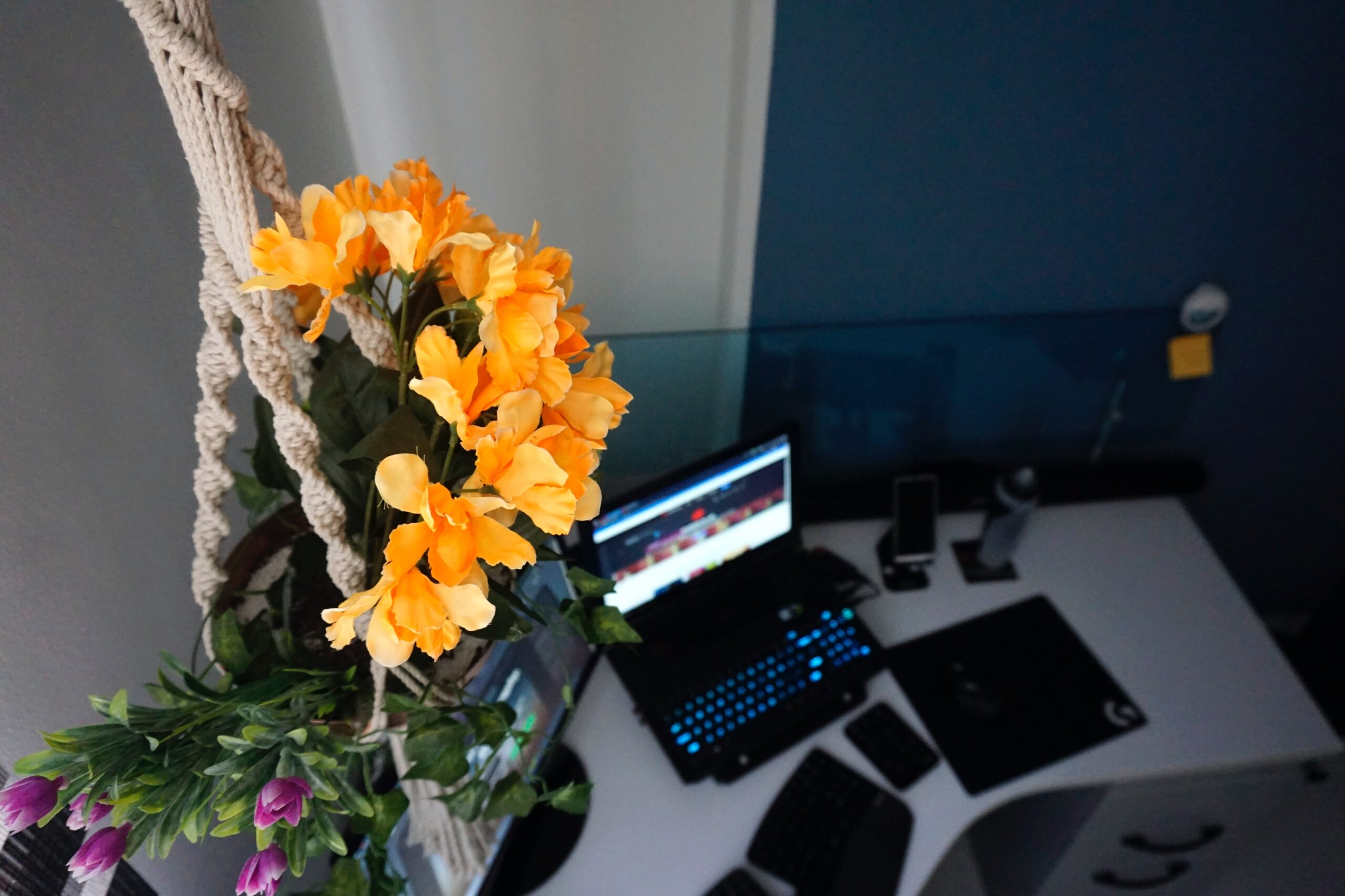 Flowers and laptop ariel view