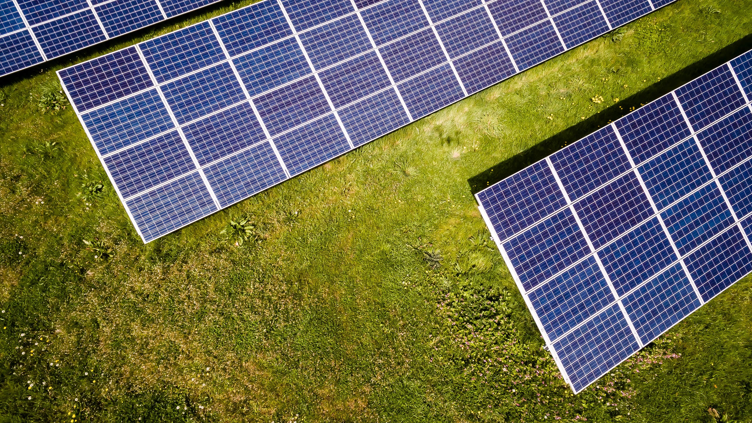 Image of three solar panels